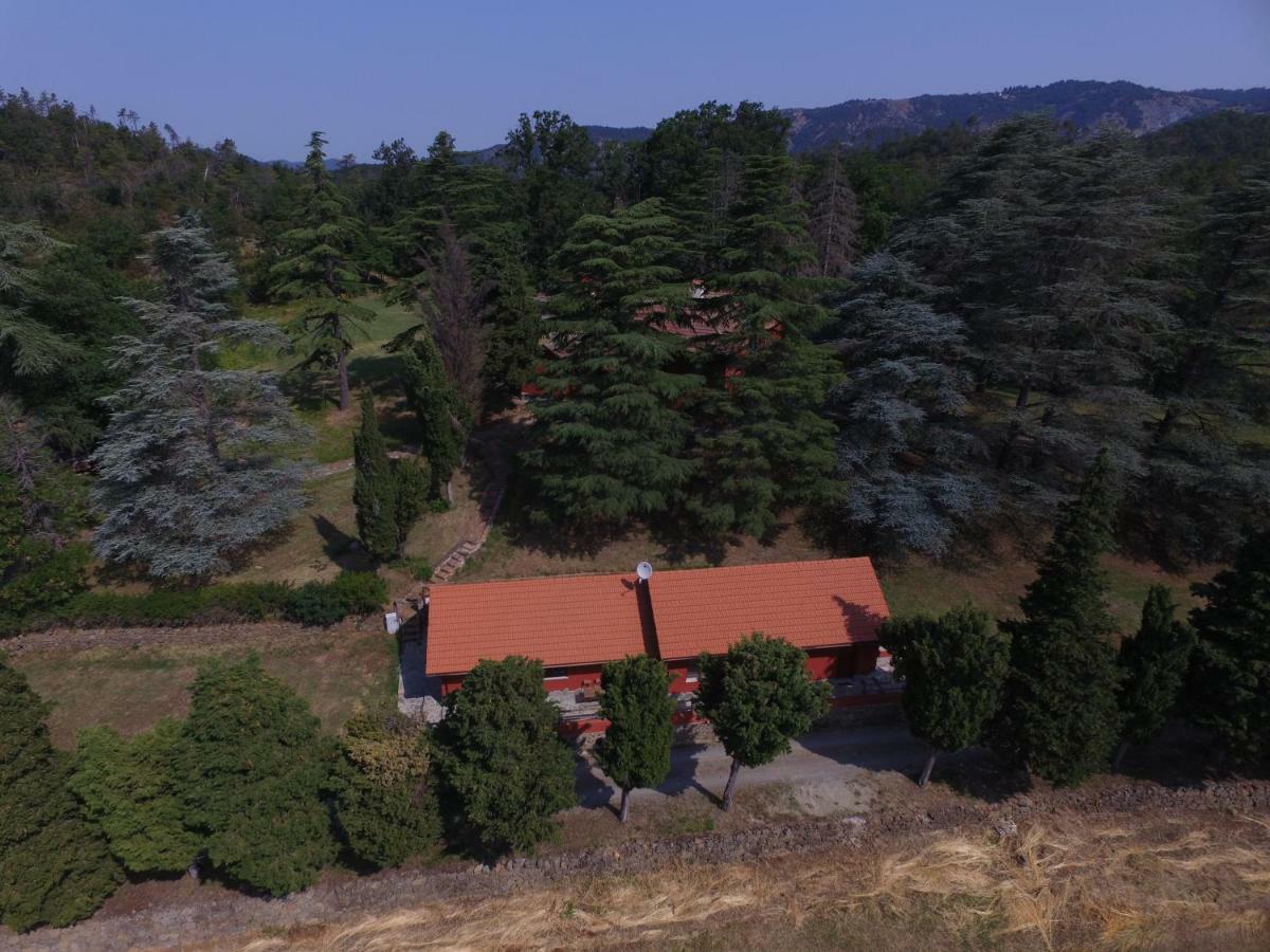Le Murazze Holiday Houses Ponzone Dış mekan fotoğraf
